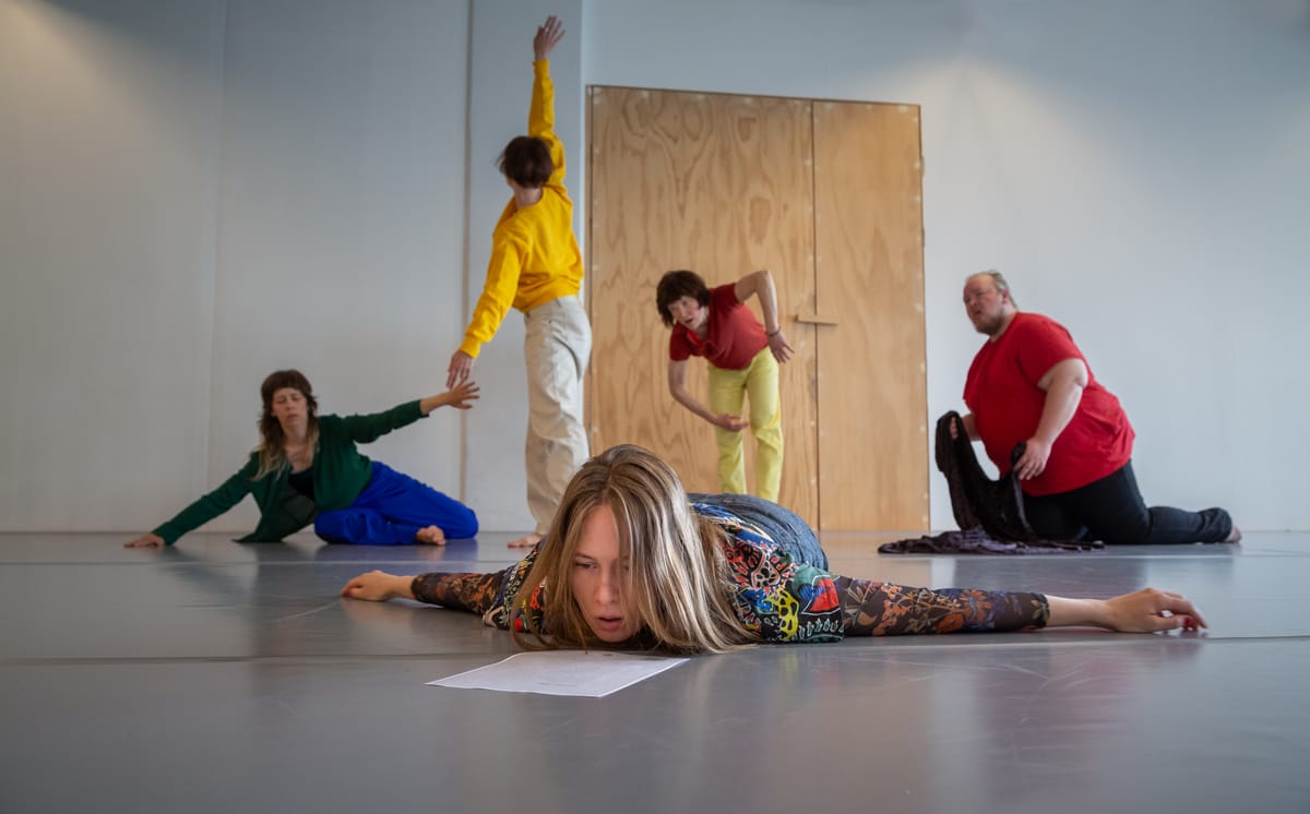 Liisa Pentti +Co: Zone Critique