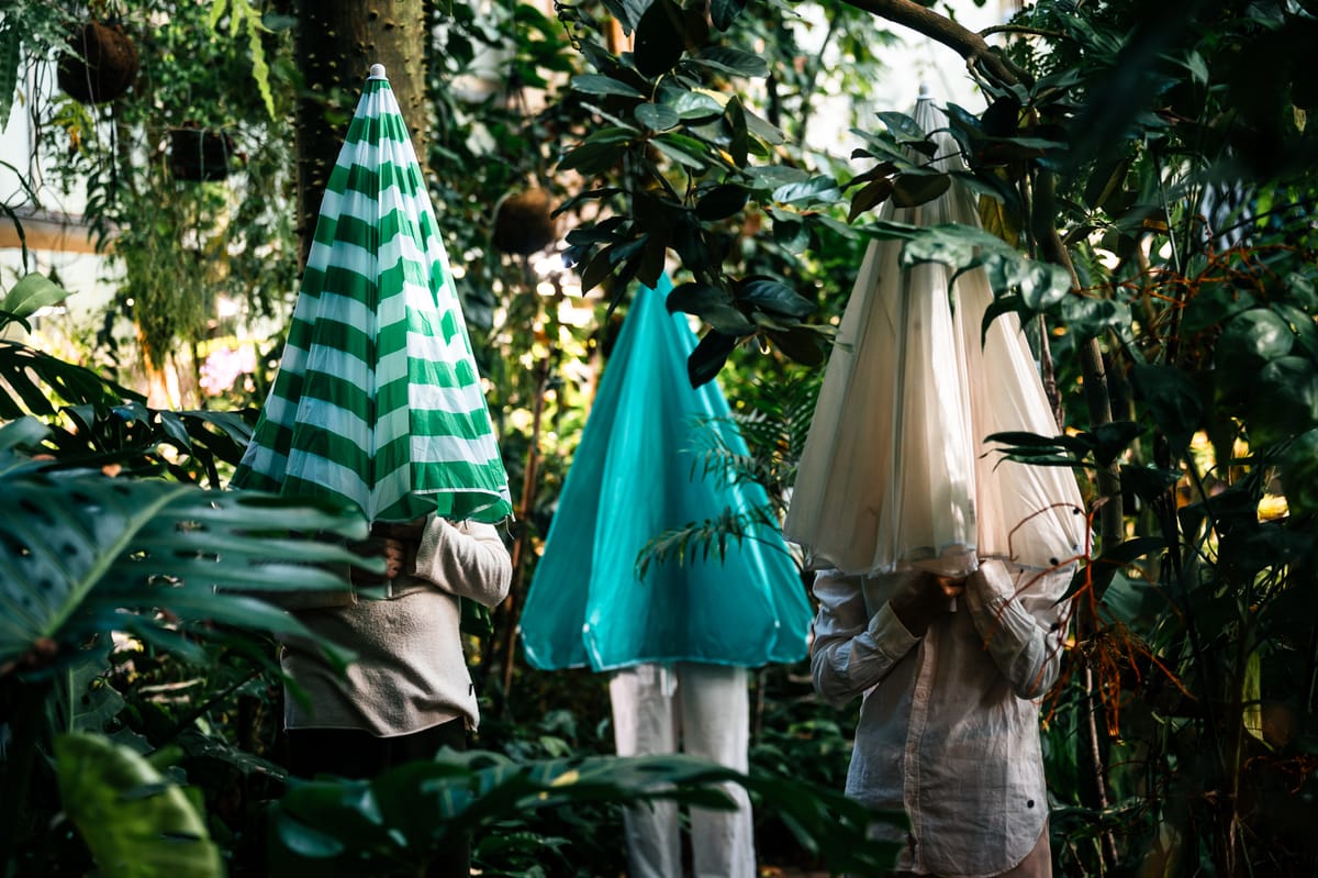 Theatre Quo Vadis, Tehdas Teatteri, Bredenberg&Taussi: On the Life of Plants