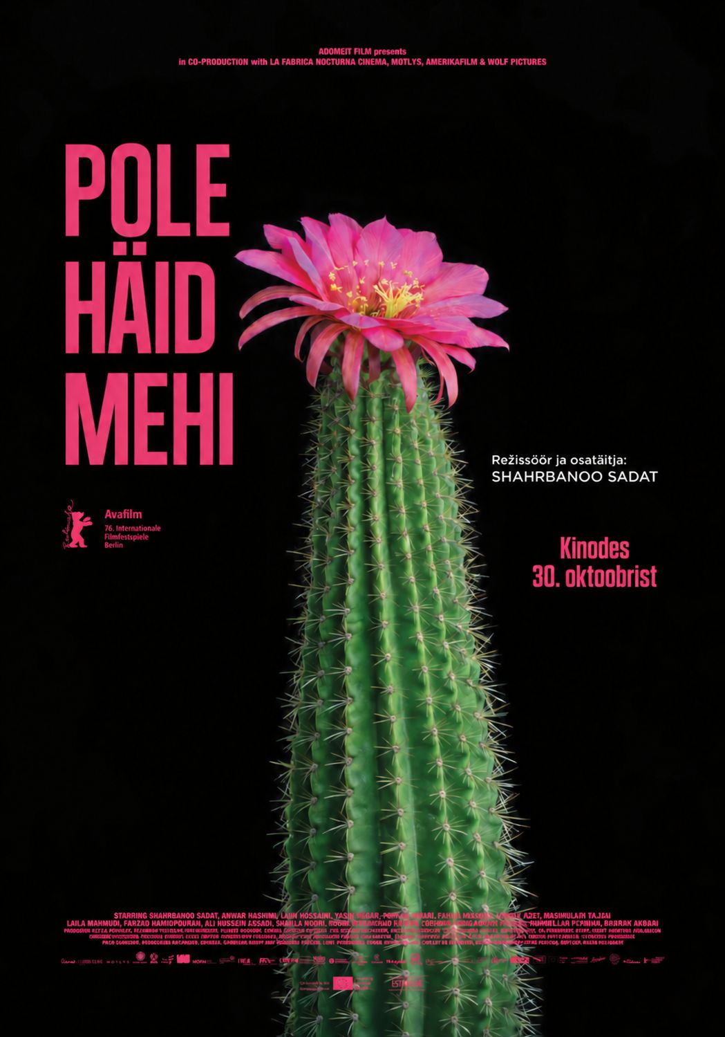 Linastus Kai kinos: "Pole häid mehi"
