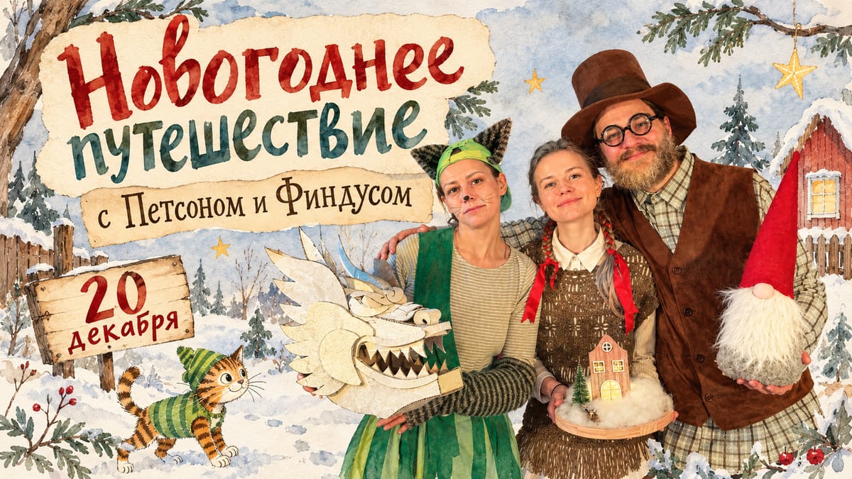 Новогоднее путешествие с Петсоном и Финдусом!