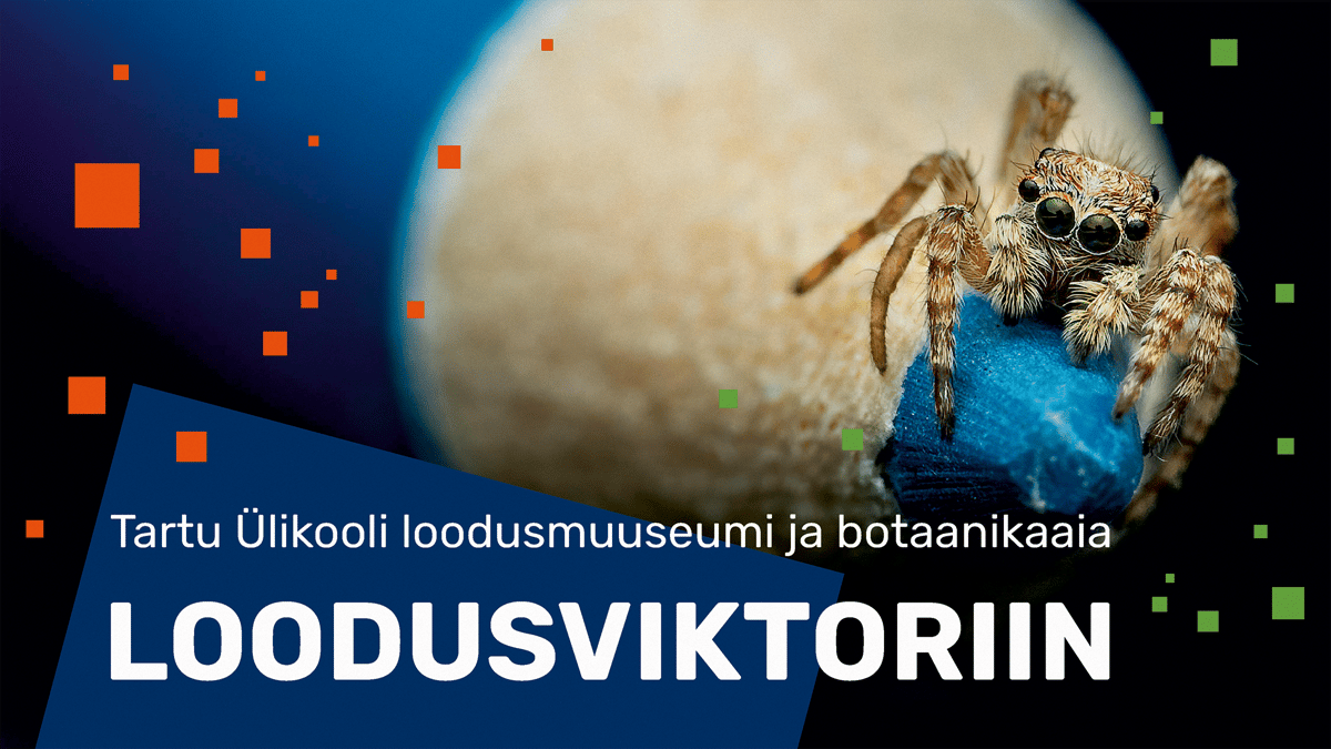 Kogupere loodusviktoriin
