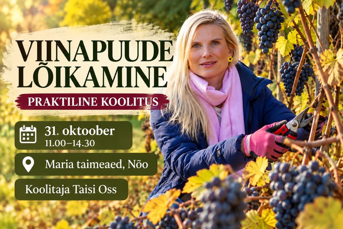 VIINAPUUDE SÜGISLÕIKUS – PRAKTILINE KOOLITUS