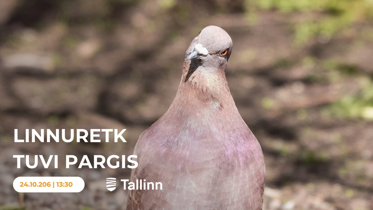 Linnuretk Tuvi pargis.