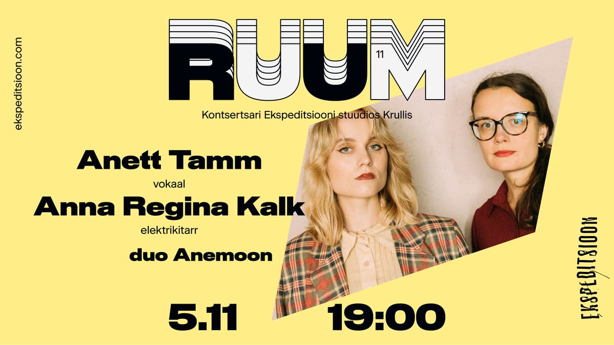 Kontsertsari RUUM: duo Anemoon