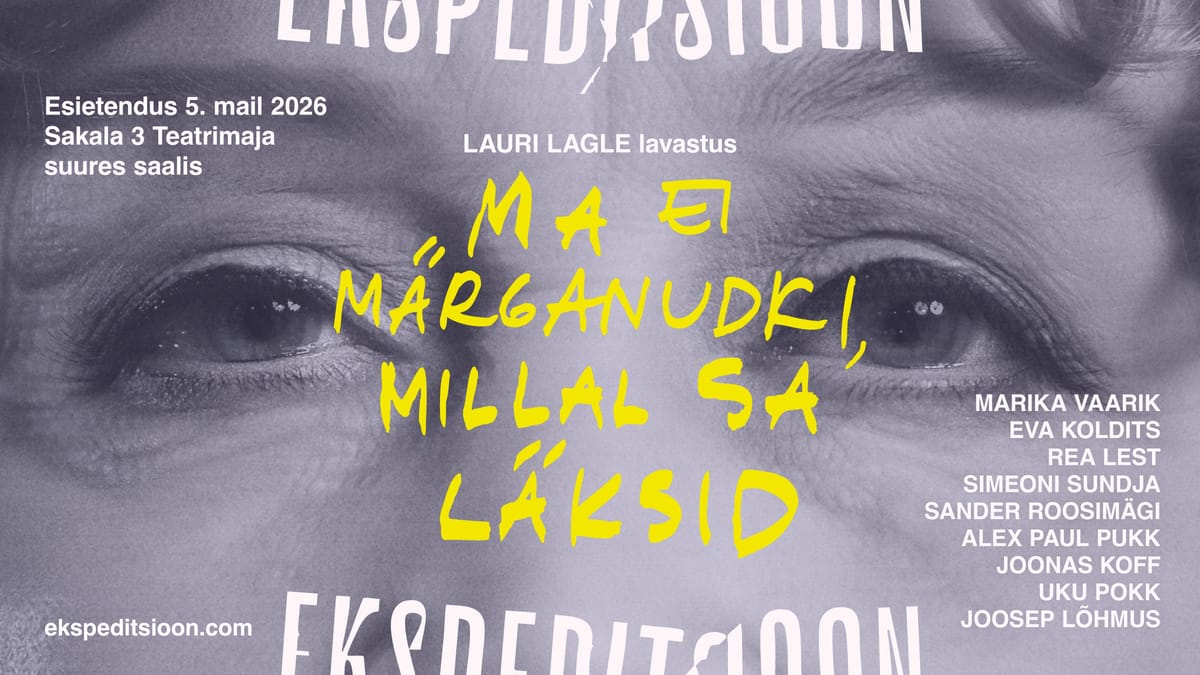 Ma ei märganudki, millal sa läksid - 29.12