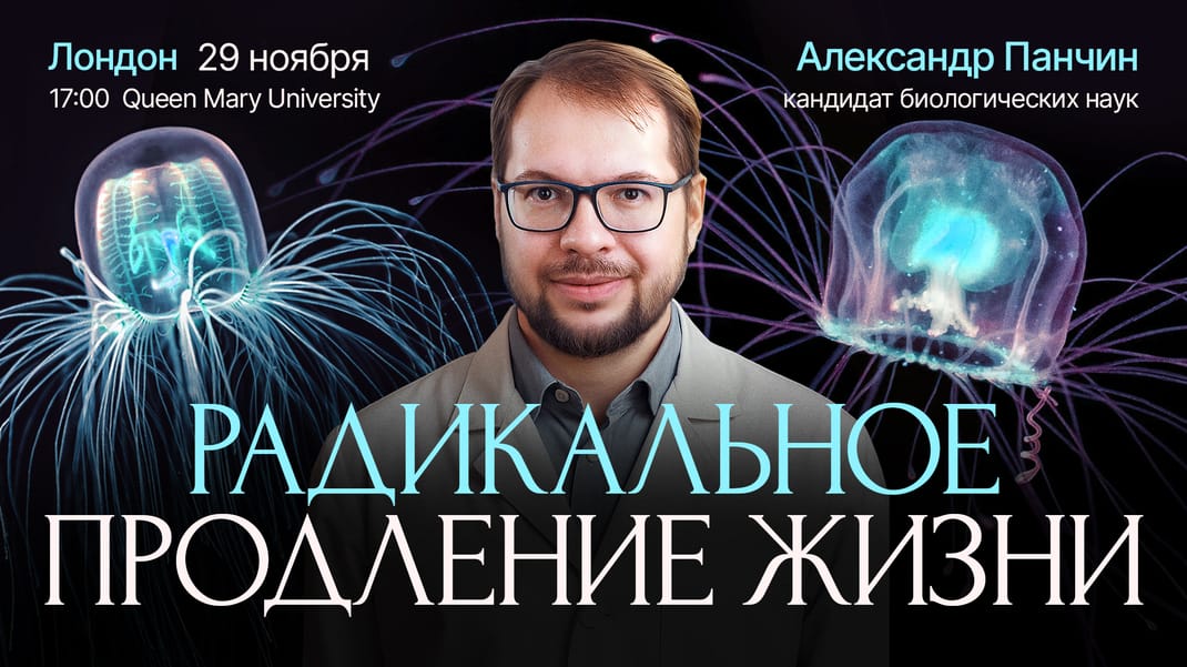 Радикальное продление жизни