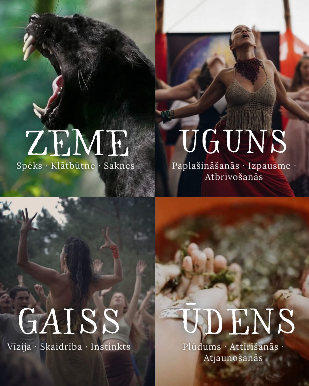 cLgWFCrpbSutstj.png