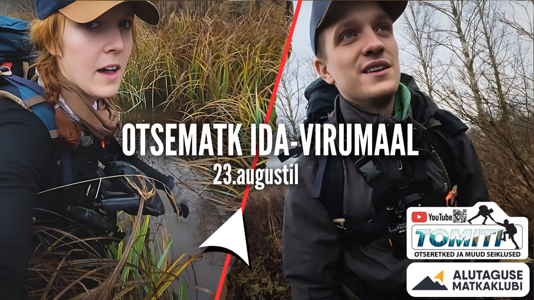 Otsematk Ida-Virumaal | TOMITI — Other · Vasavere