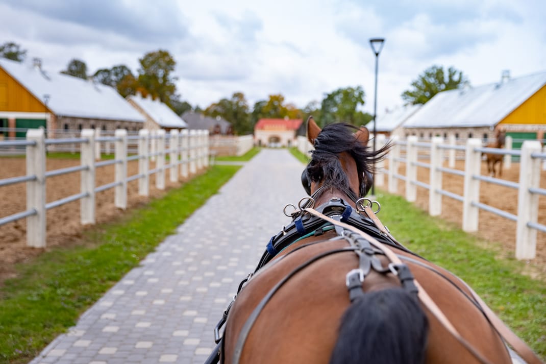 Tori Hobusekasvanduse külastuse pilet Tori Hobusekasvanduse külastuse pilet