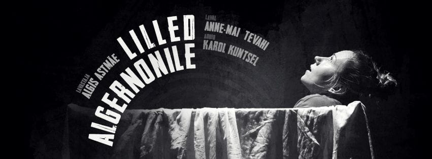“LILLED ALGERNONILE” & VESTLUSÕHTU