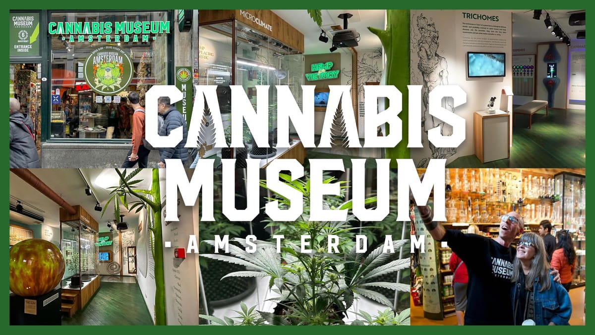Cannabis Museum Amsterdam
