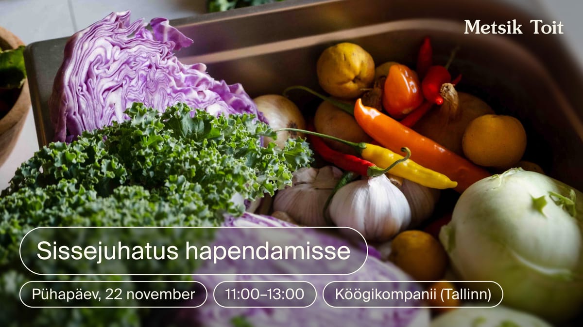 Praktiline töötuba: Sissejuhatus hapendamisse